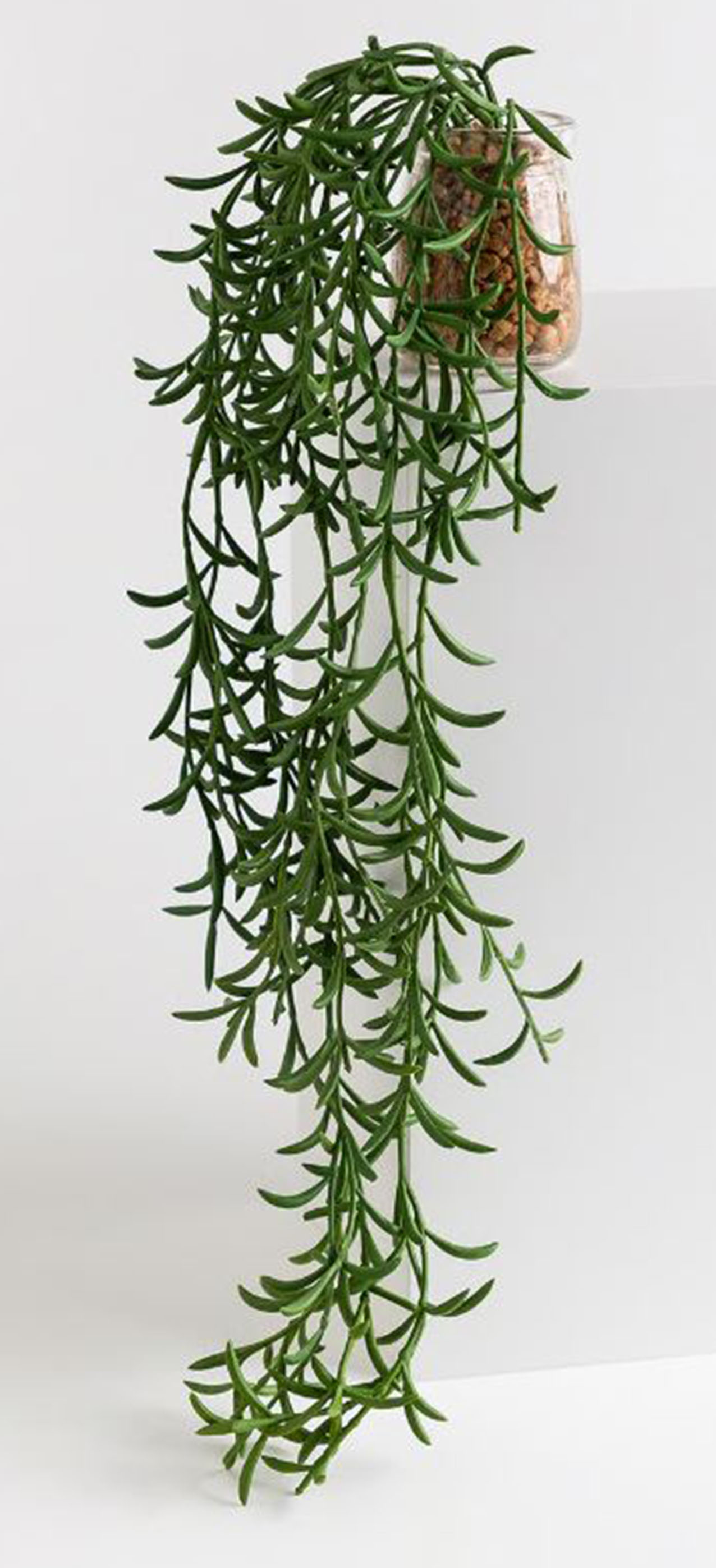 Non richiede manutenzione la pianta decorativa artificiale Senecio Radicans di Sklum. Le foglie verdi in polietilene hanno un aspetto molto realistico; inoltre la struttura interna in ferro flessibile permette di modellarla a piacere. È corredata da un vaso contenitore in vetro trasparente. Misura Ø 15 x H 50 cm. Prezzo 8,95 euro. https://www.sklum.com Non richiede manutenzione la pianta decorativa artificiale Senecio Radicans di Sklum. Le foglie verdi in polietilene hanno un aspetto molto realistico; inoltre la struttura interna in ferro flessibile permette di modellarla a piacere. È corredata da un vaso contenitore in vetro trasparente. Misura Ø 15 x H 50 cm. Prezzo 8,95 euro. https://www.sklum.com