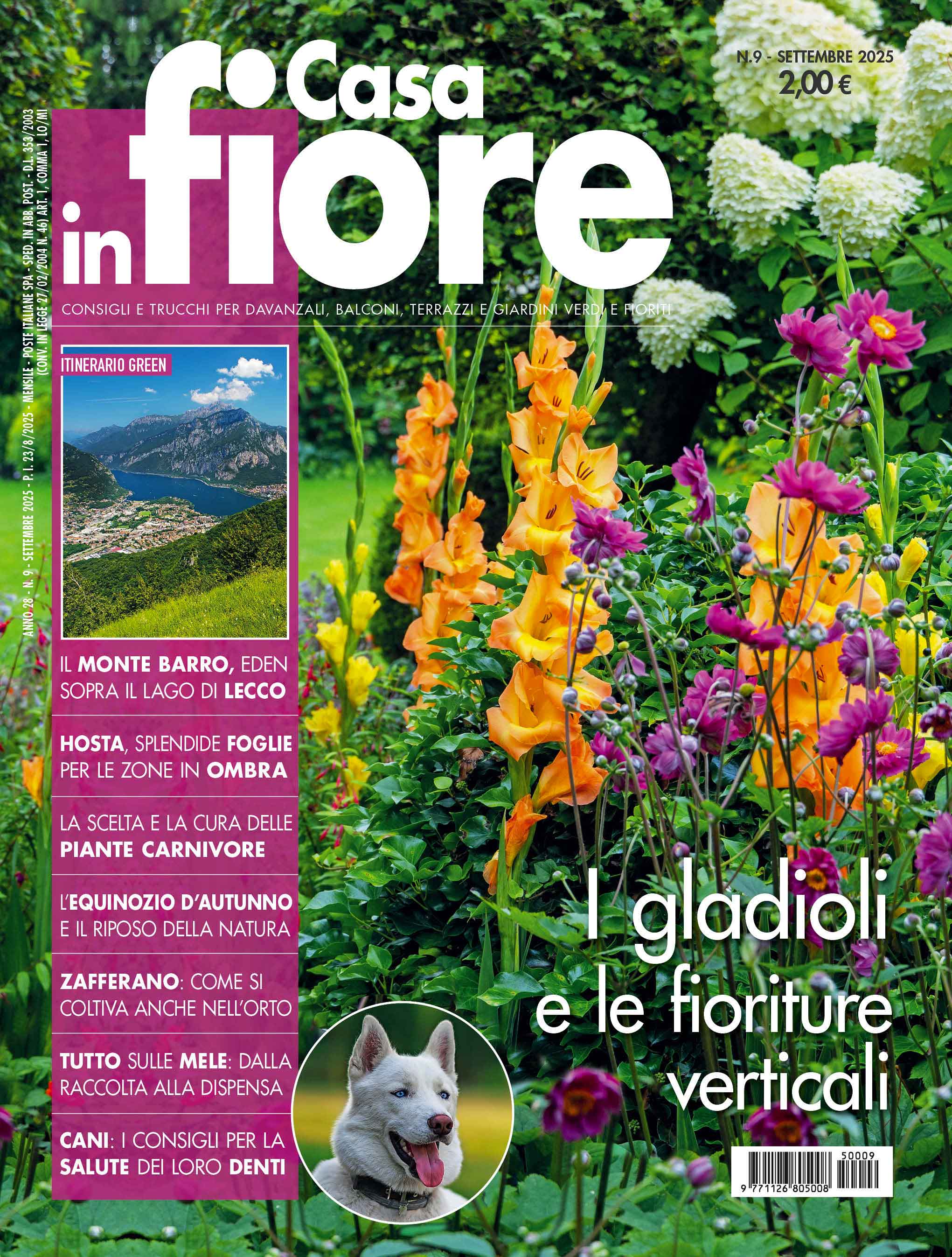 Casa in Fiore di settembre 2025, in edicola dal 23 agosto Casa in Fiore di settembre 2025, in edicola dal 23 agosto