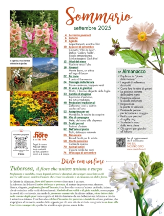 CIF09_sommario CIF09_sommario