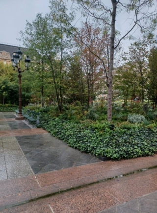 Alberi angolo Alberi angolo