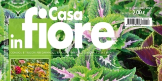 Casa in Fiore di ottobre 2025, in edicola dal 24 settembre