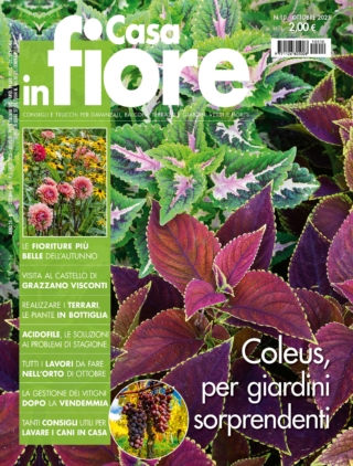 CIF010_cover CIF010_cover