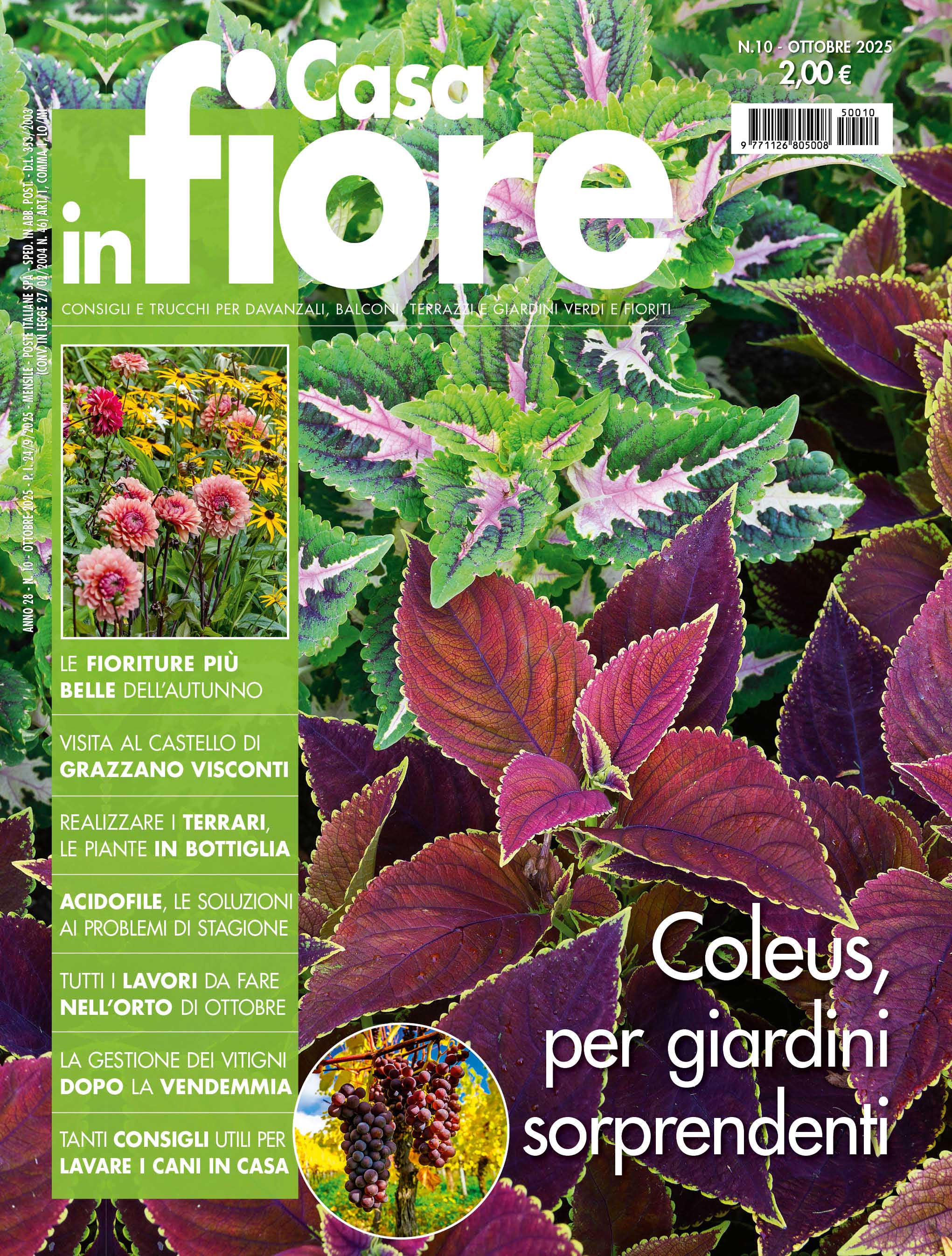 CIF010_cover