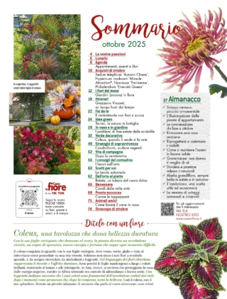 CIF10_sommario CIF10_sommario