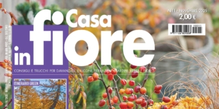 Casa in Fiore di novembre 2025, in edicola dal 24 ottobre