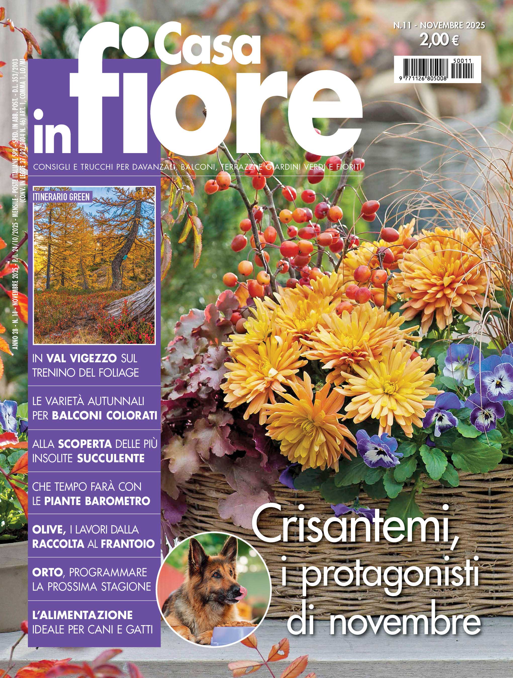 Casa in Fiore di novembre 2025, in edicola dal 24 ottobre Casa in Fiore di novembre 2025, in edicola dal 24 ottobre