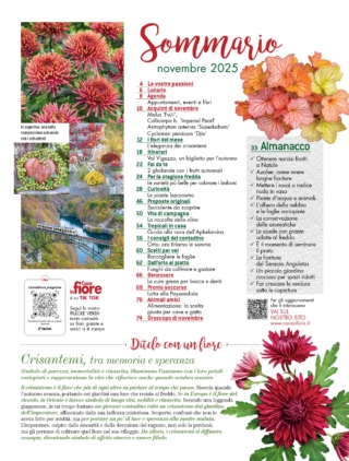 CIF11sommario CIF11sommario