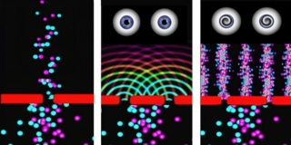 Giuliana Cunéaz, Quantum Quirks, 2024-2025