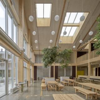 Legno e luce, garantita anche dalle oltre 400 finestre per tetto Velux, contribuiscono a rendere accoglienre il LKR Innovation House. photo Adam Mork