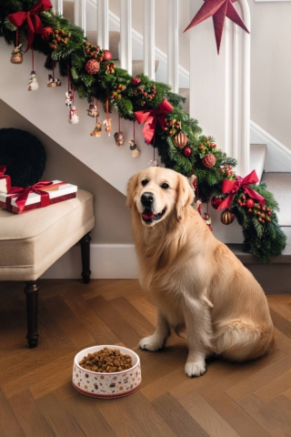 Villeroy & Boch_ Ciotola Toy’s Delight Villeroy & Boch_ Ciotola Toy’s Delight