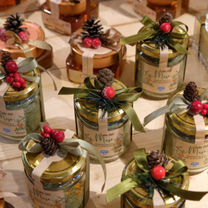 AF_PAD1_TRENTINO_068 AF_PAD1_TRENTINO_068