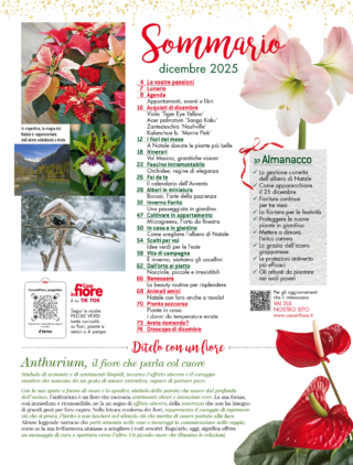 CIF12_sommario