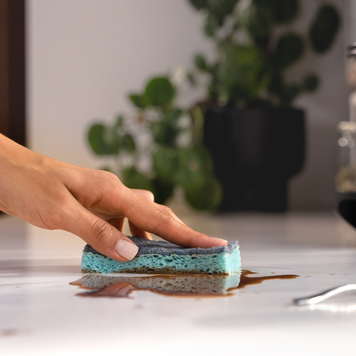 INT_ATF_20_ProClean_viscose-scourer_thumb3