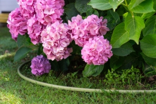 Armonia® di Irritec nella versione verde si nasconde nel prato risultando invisibile. https://irritec.it/