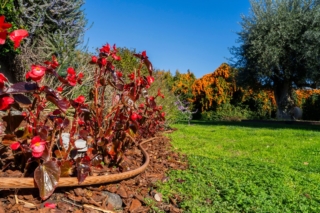 La linea Armonia® è disponibile in tre colori - Verde Bambù, Marrone Noce e Bianco Perla - integrandosi con i paesaggio. https://irritec.it/