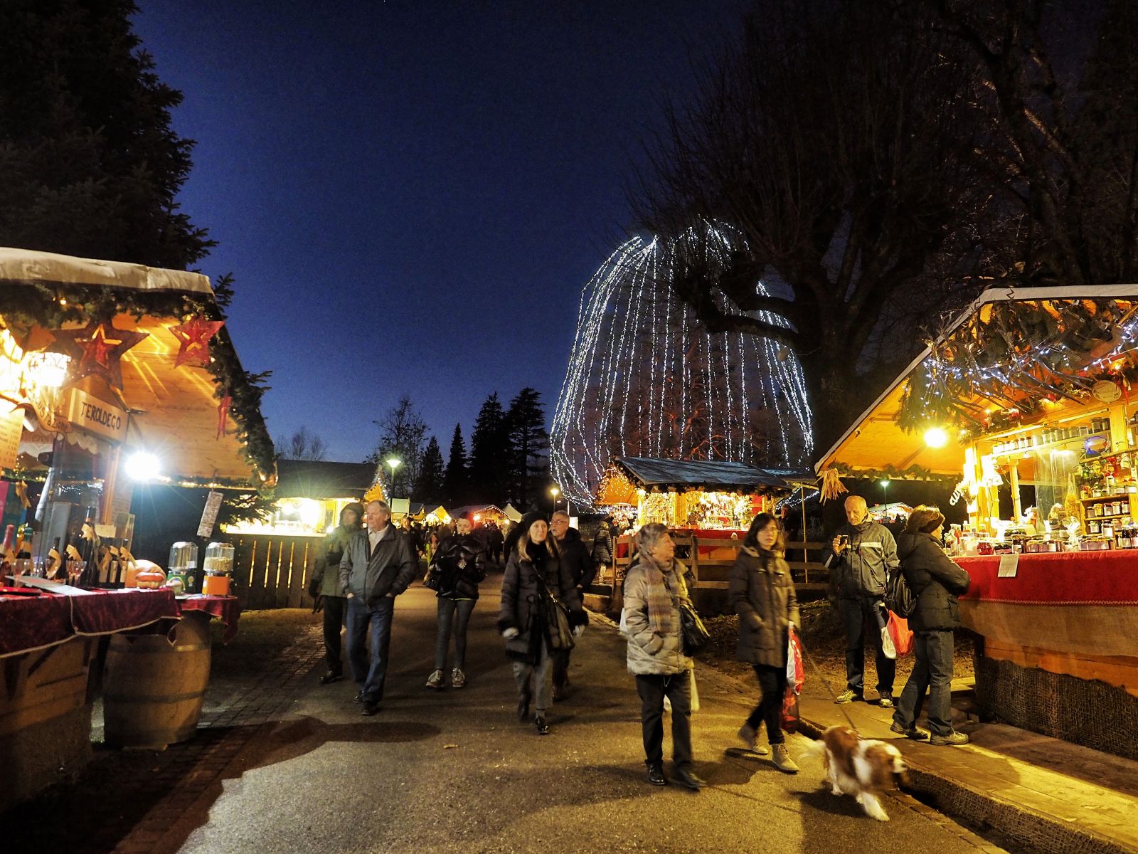 Apre il 22 novembre 2025 il Mercatino di Natale Asburgico nel Parco Asburgico di Levico Terme che si svolgerà fino al 6 gennaio 2026. Nelle tipiche casette di legno si trovano eccellenze artigianali locali, decorazioni natalizie fatte a mano, così come oggetti raffinati in pelle, vetro, legno e tessuto e gustare piatti tipici trentini, preparati dai maestri della cucina alpina. Del programma fanno parte anche attività pensate per i bambini come il villaggio degli elfi e il trono di Babbo Natale. Foto: Romano Magrone. https://visitlevicoterme.it/mercatini-di-natale/ Apre il 22 novembre 2025 il Mercatino di Natale Asburgico nel Parco Asburgico di Levico Terme che si svolgerà fino al 6 gennaio 2026. Nelle tipiche casette di legno si trovano eccellenze artigianali locali, decorazioni natalizie fatte a mano, così come oggetti raffinati in pelle, vetro, legno e tessuto e gustare piatti tipici trentini, preparati dai maestri della cucina alpina. Del programma fanno parte anche attività pensate per i bambini come il villaggio degli elfi e il trono di Babbo Natale. Foto: Romano Magrone. https://visitlevicoterme.it/mercatini-di-natale/
