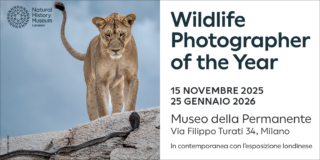 Milano, Widlife Photographer of the Year (ok sito) Milano, Widlife Photographer of the Year (ok sito)