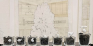 Roma, Silvia Scaringella Roma, Silvia Scaringella