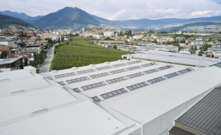 Sono 108 le finestre per tetto Velux installate nello stabilimento Melinda Sono 108 le finestre per tetto Velux installate nello stabilimento Melinda