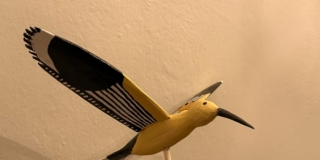 Volo di Uccelli, Immagine WhatsApp 2025-11-07 Volo di Uccelli, Immagine WhatsApp 2025-11-07