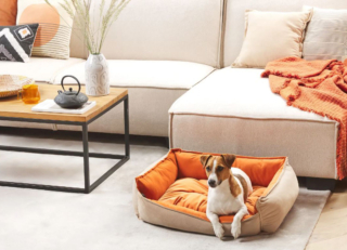 La cuccia imbottita Izmir di Beliani permette al cane o al gatto di condividere il relax nel soggiorno insieme alla famiglia, nelle giornate di festa e non solo. È rivestito in morbido velluto di poliestere beige e arancione, è reversibile ed è lavabile in lavatrice. Misura L 70 x P 60 x H 18 cm. Prezzo 79 euro. https://www.beliani.it La cuccia imbottita Izmir di Beliani permette al cane o al gatto di condividere il relax nel soggiorno insieme alla famiglia, nelle giornate di festa e non solo. È rivestito in morbido velluto di poliestere beige e arancione, è reversibile ed è lavabile in lavatrice. Misura L 70 x P 60 x H 18 cm. Prezzo 79 euro. https://www.beliani.it