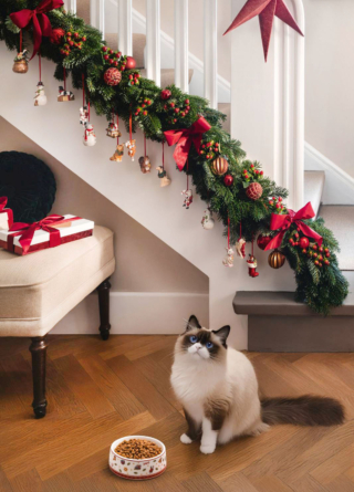 Per decorare la scala sono stati usati rami di pino, grandi fiocchi, palline colorate e una serie di decori della collezione Nostalgic Ornaments di Villeroy & Boch appesi con nastrini rossi, tutti realizzati in pregiata porcellana dipinta: raffigurano Babbo Natale, animaletti, cagnolini, pupazzetti di neve... I cagnolini “natalizi” misurano H 6,5 cm, prezzo 39,90 euro (per il set da 3 pezzi).    https://www.villeroy-boch.it