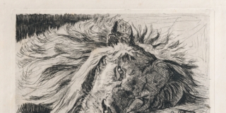 Bologna, Pietro Pietra