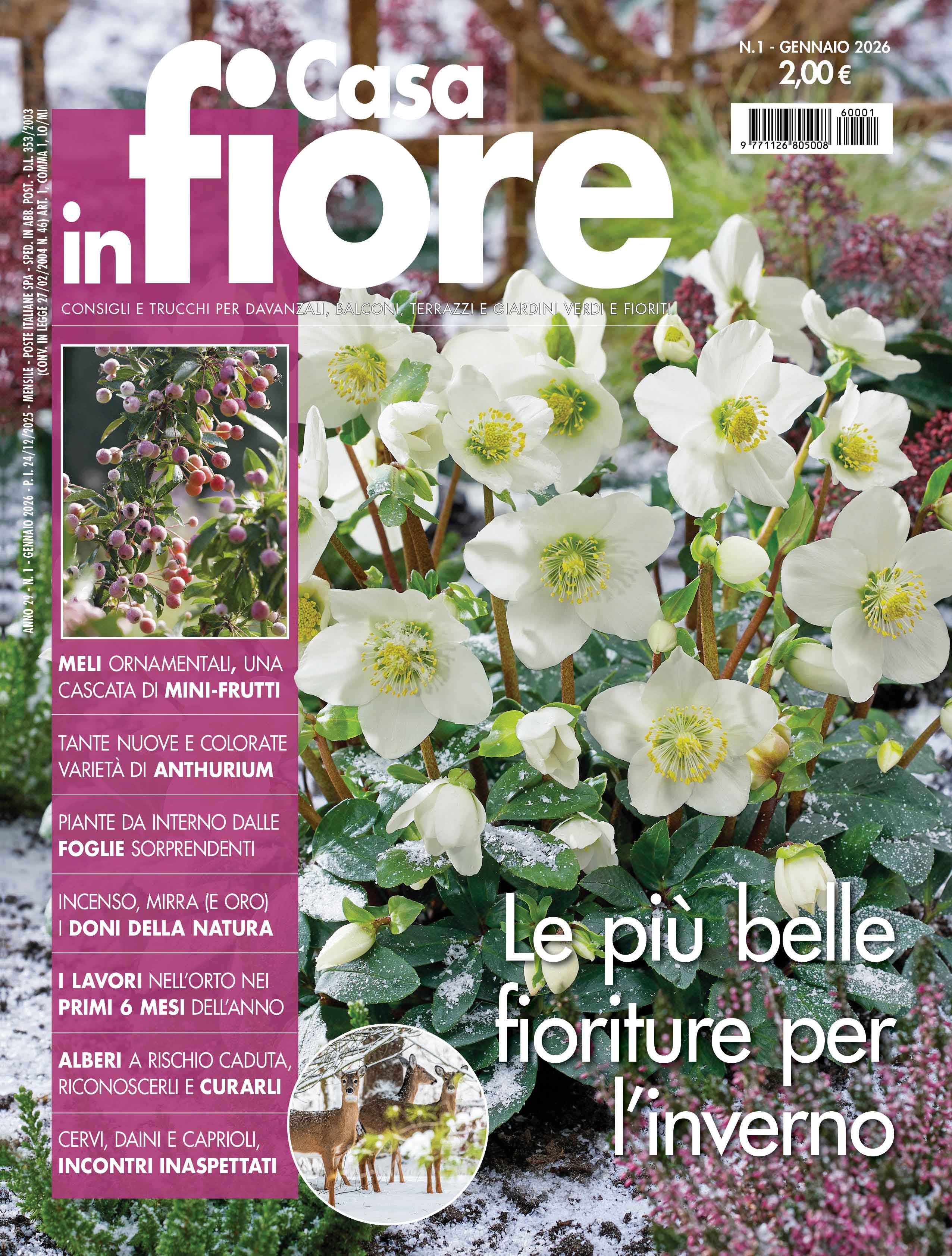 Casa in Fiore di gennaio 2026, in edicola dal 24 dicembre Casa in Fiore di gennaio 2026, in edicola dal 24 dicembre