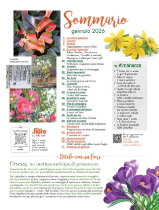 CIF01_sommario