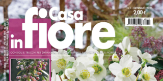 Casa in Fiore di gennaio 2026, in edicola dal 24 dicembre