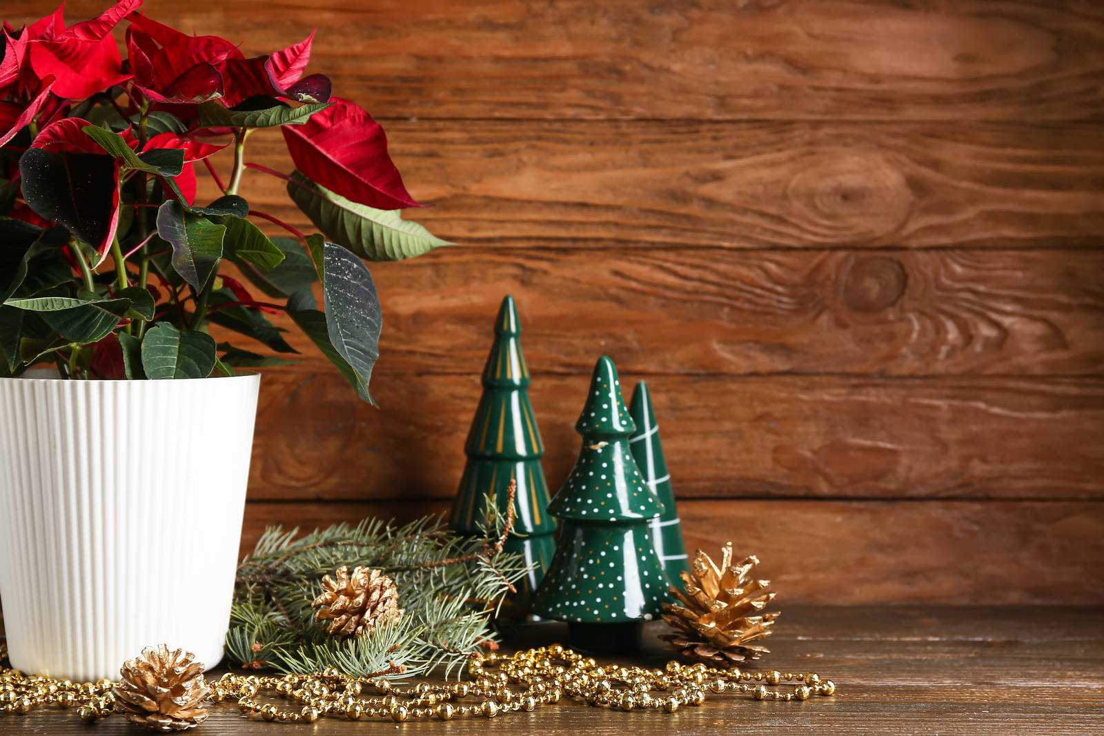 Come usare la stella di Natale per decorare la casa durante le feste