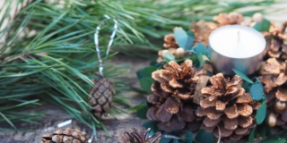 decorazione natalizia con pigne per la tavola