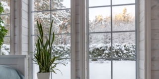 Piante in casa e aria secca