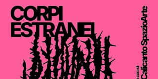 Brescia, CORPI ESTRANEI 5