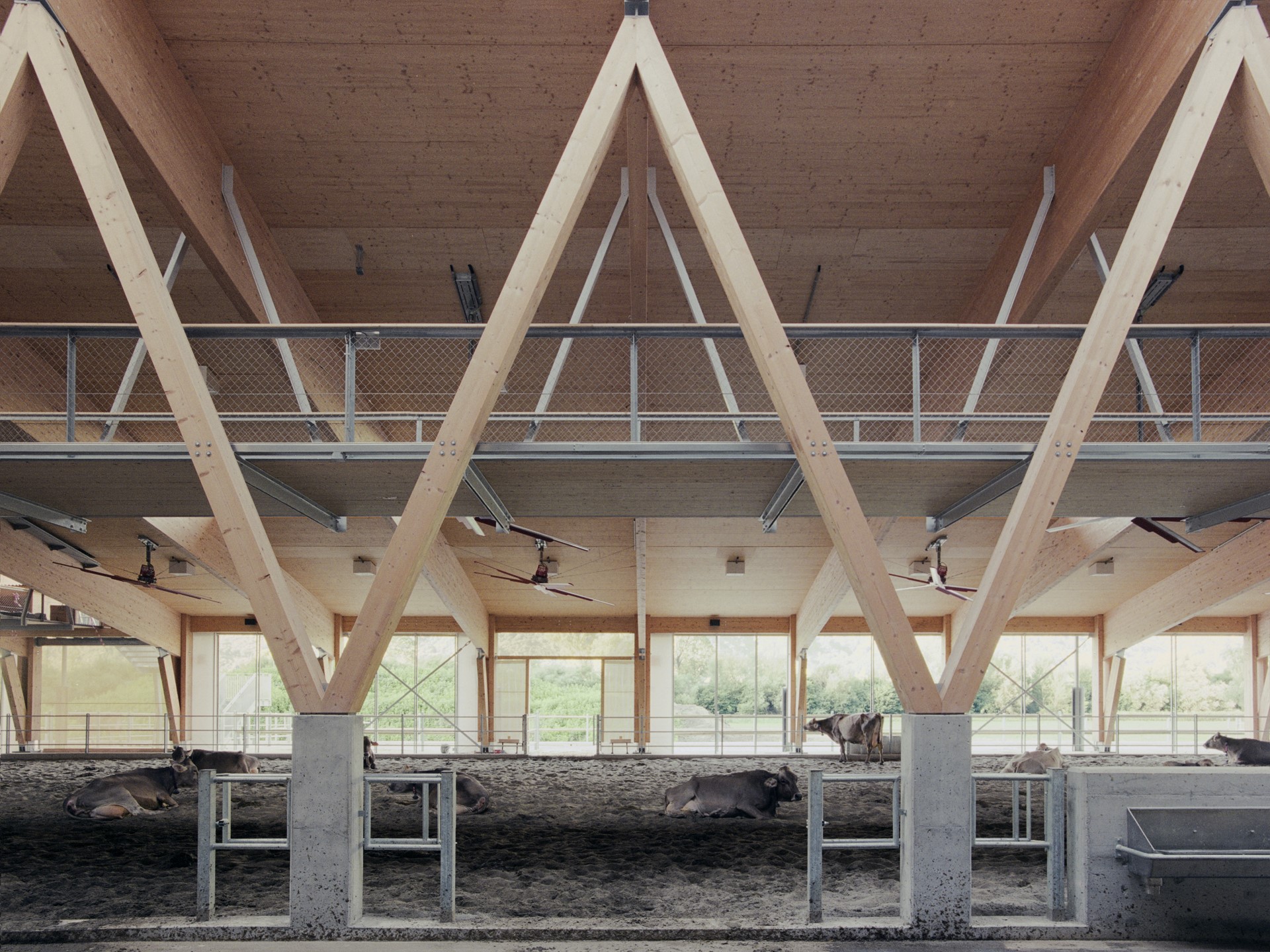 The Big Zip @Marcello Mariana