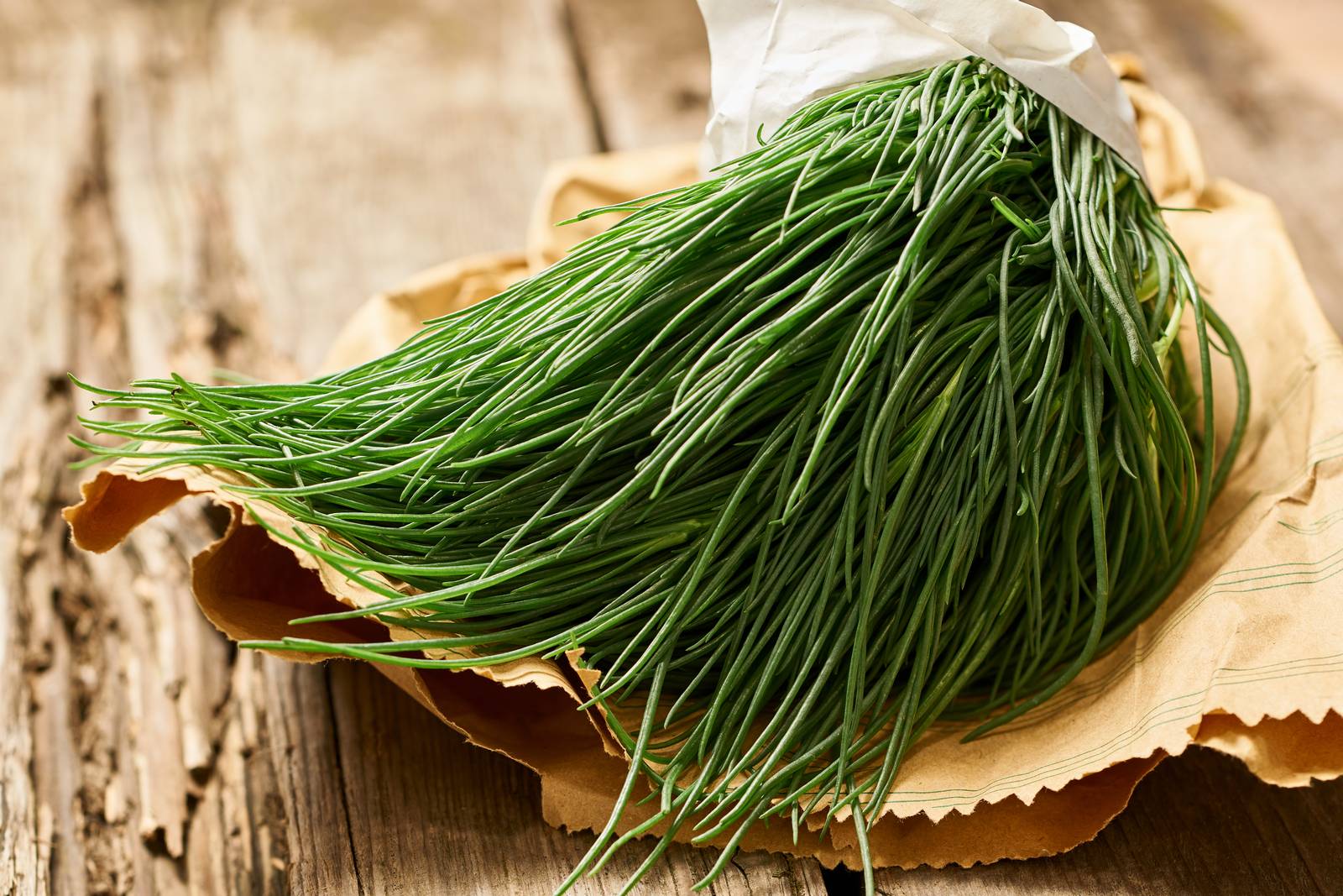La pianta degli agretti va raccolta in primavera prima della fioritura, quando gli steli sono verdi brillanti e teneri.