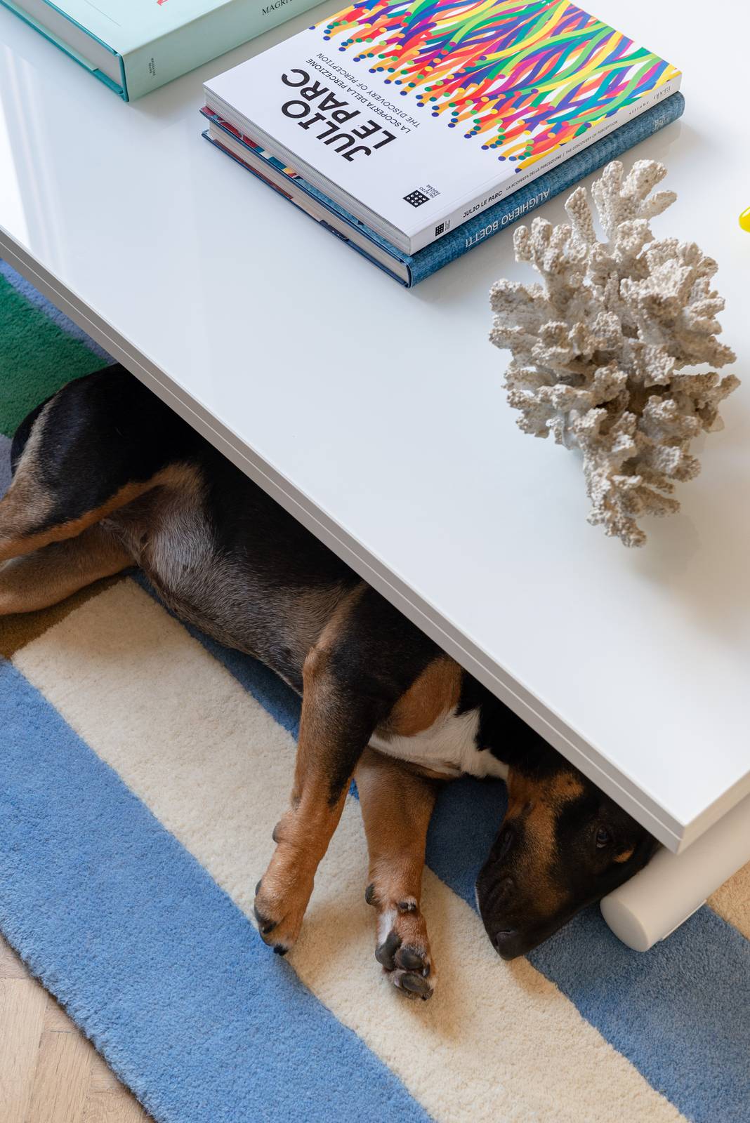 Casa Giambologna 10 Casa Giambologna 10