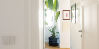 tonalità neutre tonalità neutre