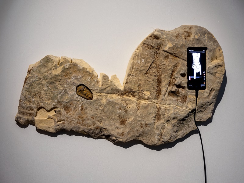 01_ESTABLISHED_C+N Gallery CANEPANERI_Ginevra Petrozzi 01_ESTABLISHED_C+N Gallery CANEPANERI_Ginevra Petrozzi