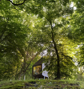 Antrax IT the nest Momò Bellavista courtesy Paolo Scoglio