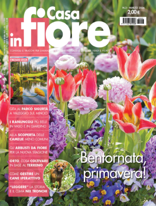 CIF03_cover CIF03_cover