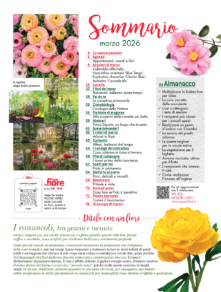 CIF03_sommario CIF03_sommario