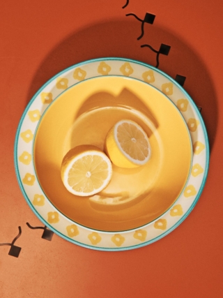 Piatto della collezione Tamsa