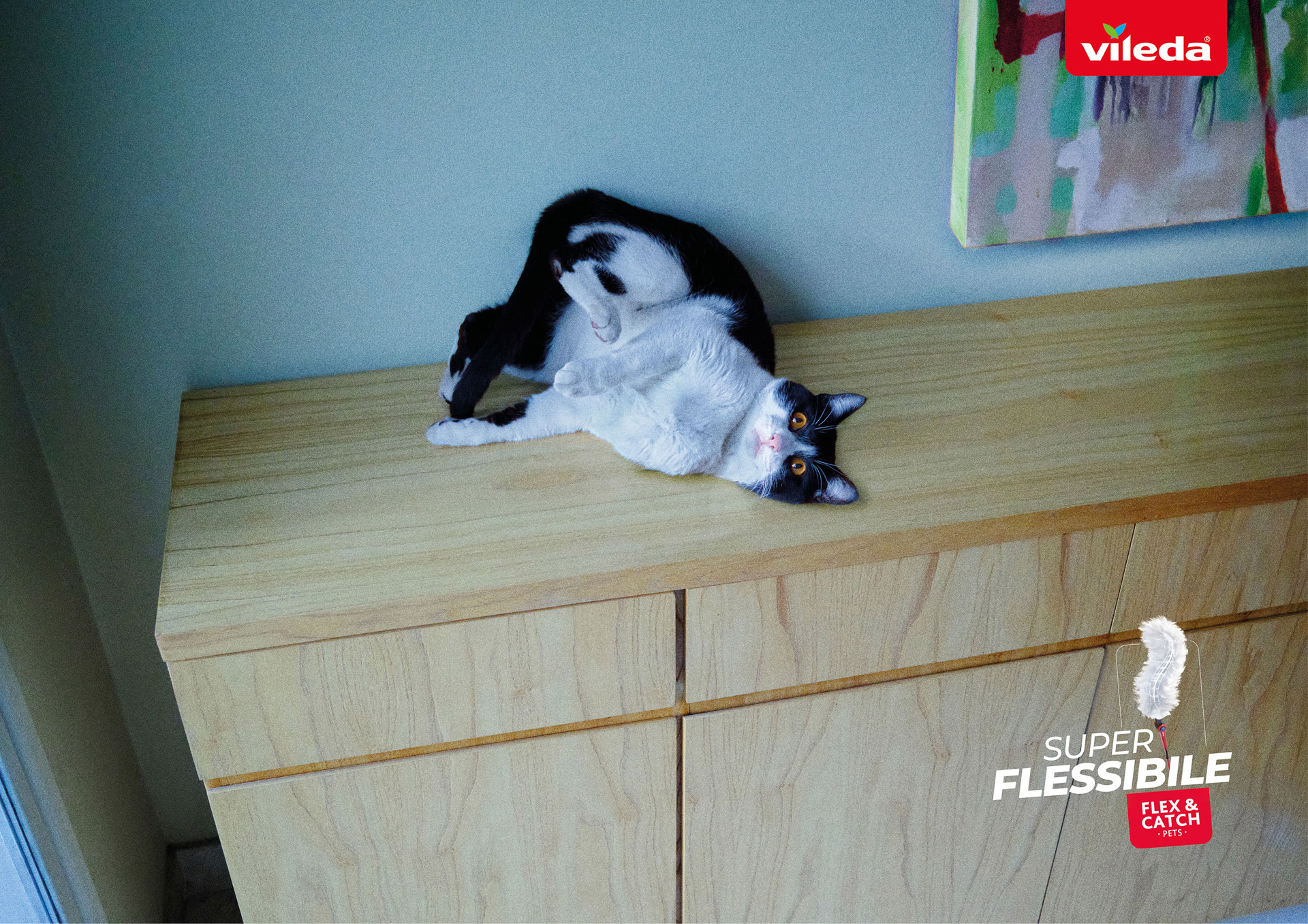 Gatto Vileda