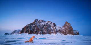 Biella, Selvatica, 8 Christian Thompson_ Gemania