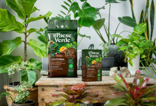 Lieviterra_ambientata_02