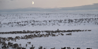 Milano, FOTO I NASCOSTI_TUNDRA_DSCF1152