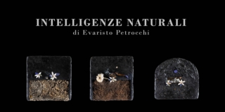 Milano, Intelligenze naturali, Opening 25 marzo Milano, Intelligenze naturali, Opening 25 marzo