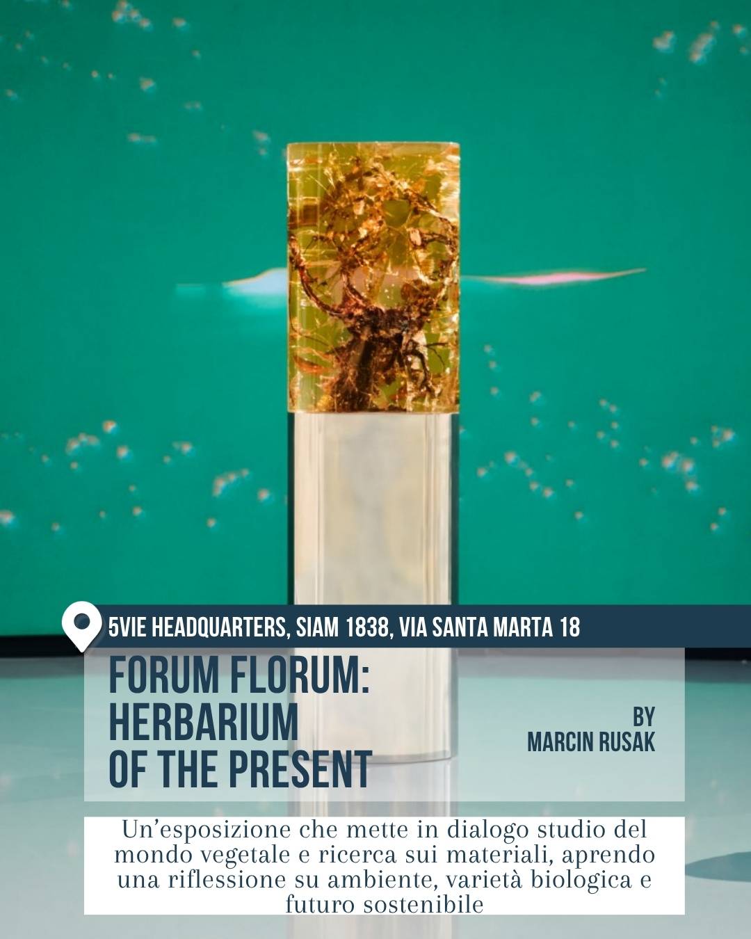 Fuorisalone 2026 Milano, 5VIE Design District: “Forum Florum: Herbarium of the Present” di Marcin Rusak. Una scultura trasparente con radici e materiali vegetali è esposta davanti a uno sfondo verde brillante, in una mostra che riflette su natura, materia e futuro sostenibile.