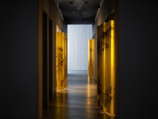 "Insieme", Piscina Cozzi in Viale Tunisia 35